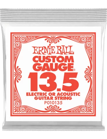 ERNIE BALL 010135 | MusicGoodDeal