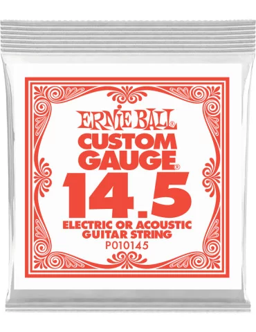 ERNIE BALL 010145 | MusicGoodDeal