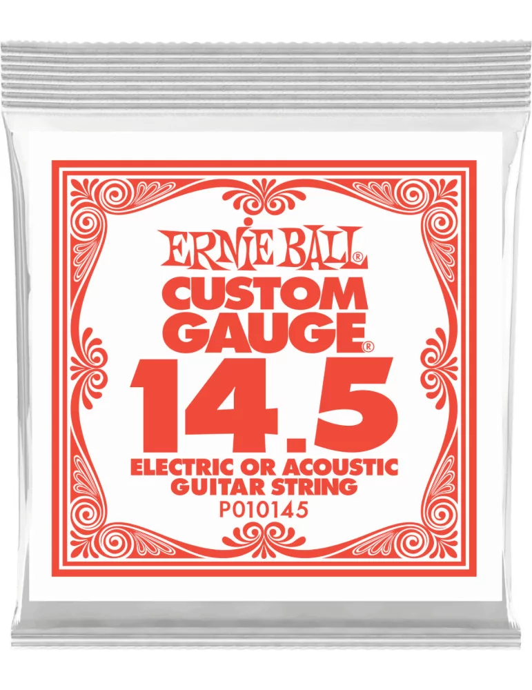 ERNIE BALL 010145 | MusicGoodDeal