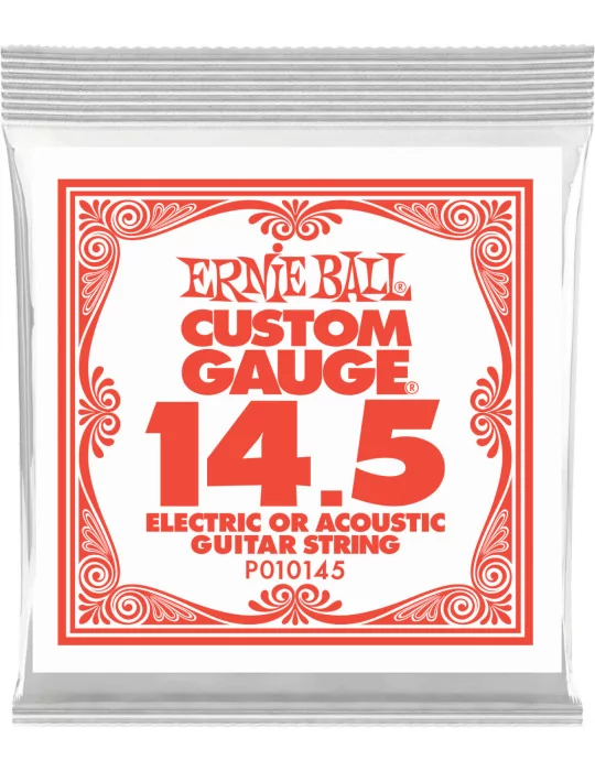 ERNIE BALL 010145 | MusicGoodDeal