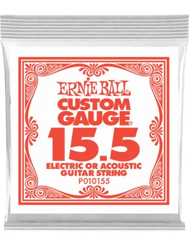 ERNIE BALL 010155 | MusicGoodDeal