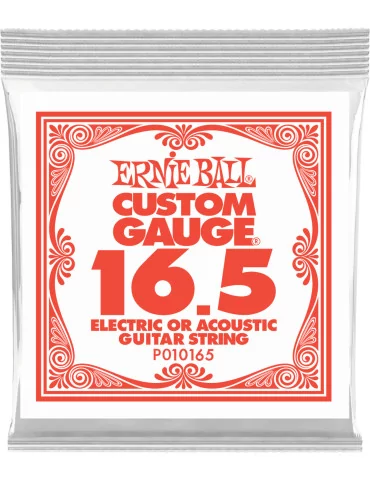 ERNIE BALL 010165 | MusicGoodDeal