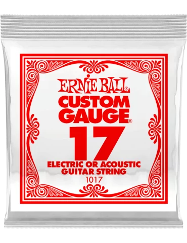 ERNIE BALL 1017 | MusicGoodDeal
