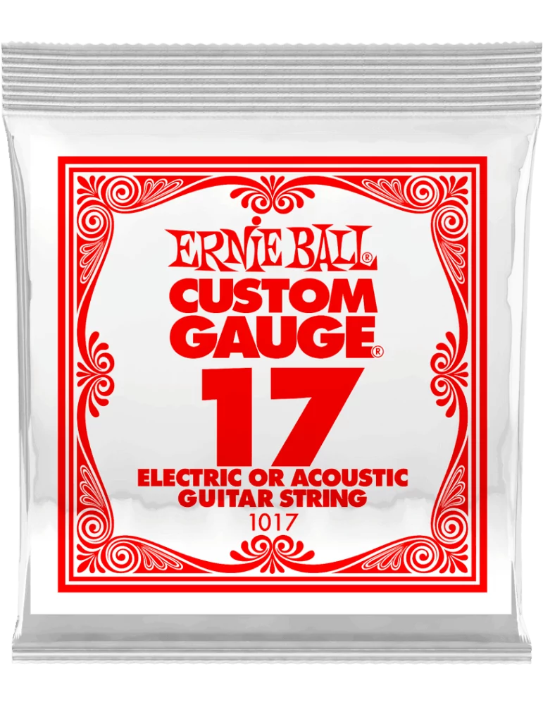 ERNIE BALL 1017 | MusicGoodDeal