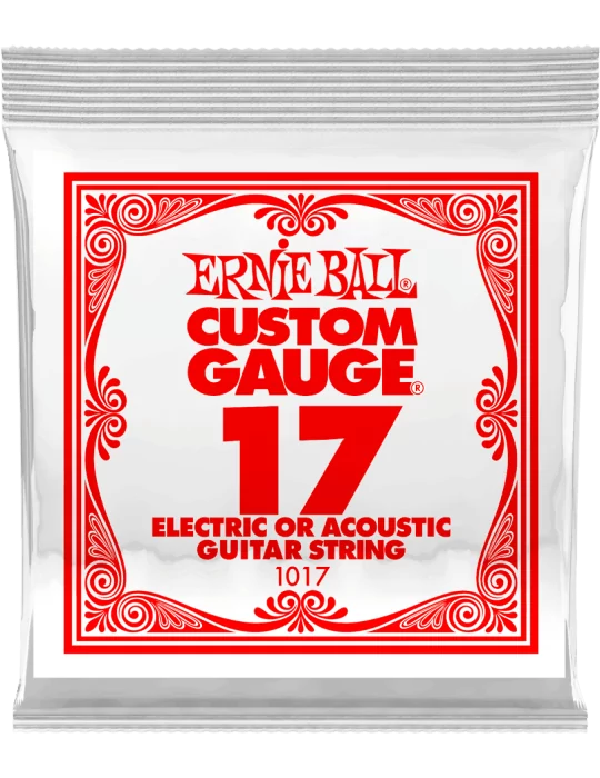 ERNIE BALL 1017 | MusicGoodDeal