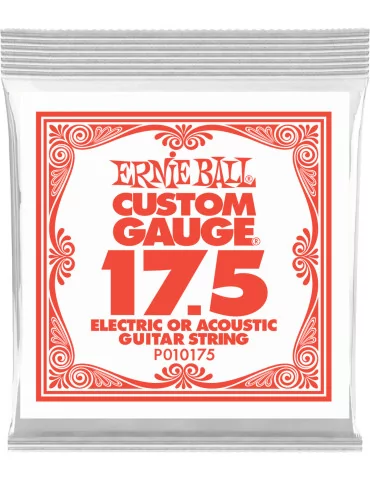ERNIE BALL 010175 | MusicGoodDeal