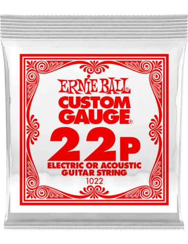 ERNIE BALL 1022 | MusicGoodDeal