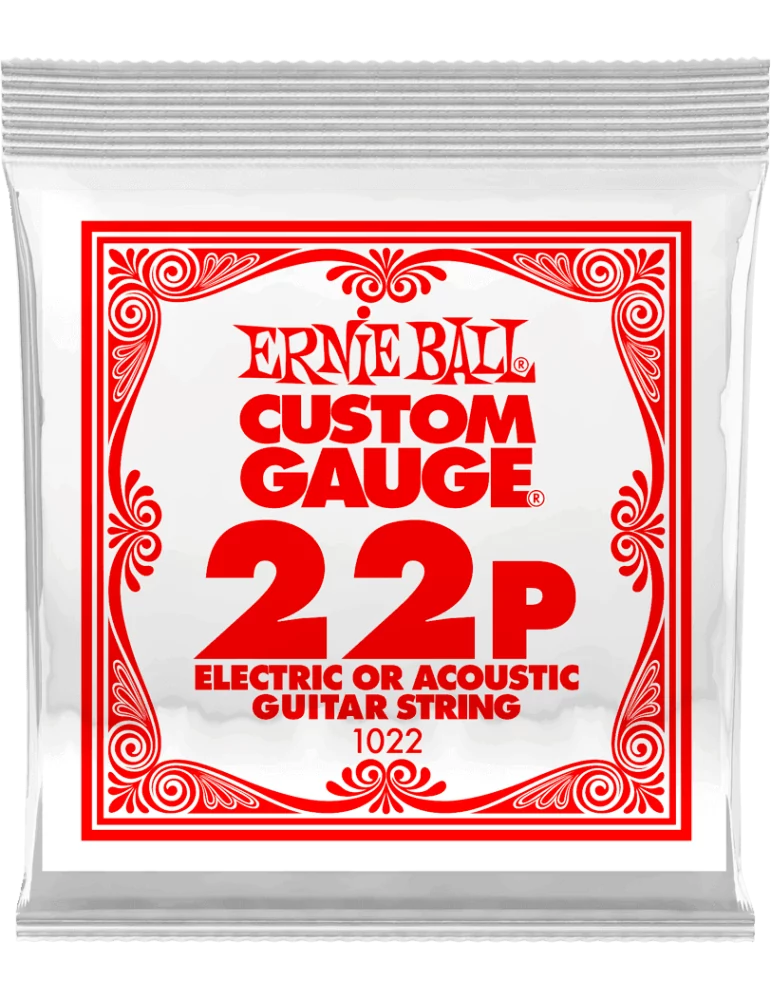 ERNIE BALL 1022 | MusicGoodDeal