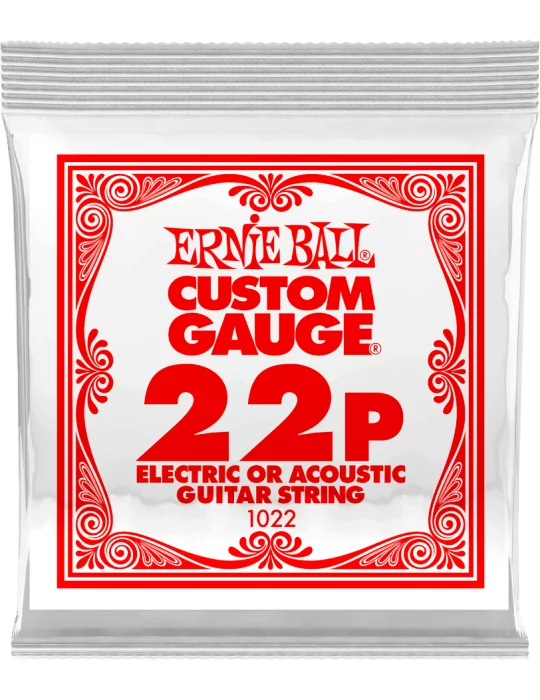 ERNIE BALL 1022 | MusicGoodDeal
