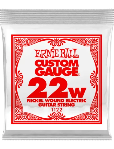 ERNIE BALL 1122 | MusicGoodDeal