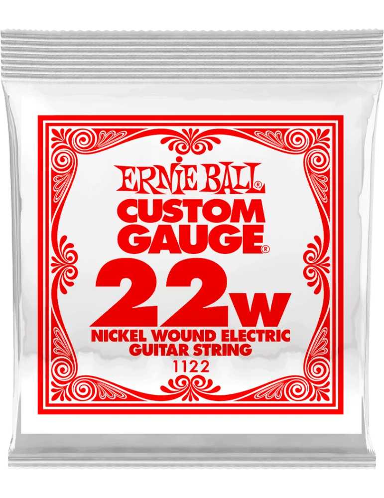 ERNIE BALL 1122 | MusicGoodDeal