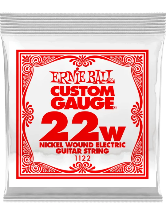 ERNIE BALL 1122 | MusicGoodDeal