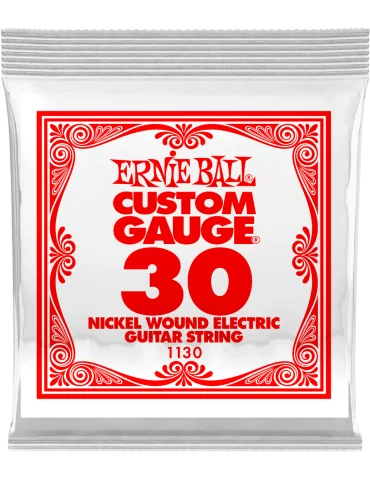 ERNIE BALL 1130 | MusicGoodDeal