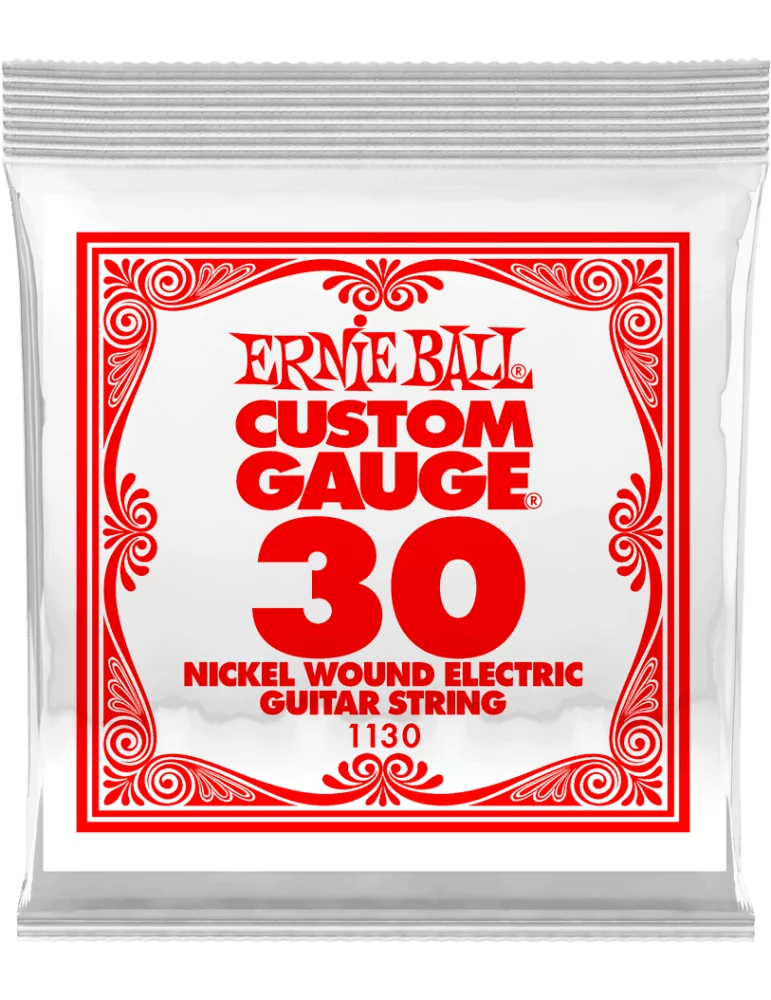 ERNIE BALL 1130 | MusicGoodDeal