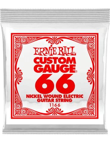 ERNIE BALL 1166 | MusicGoodDeal