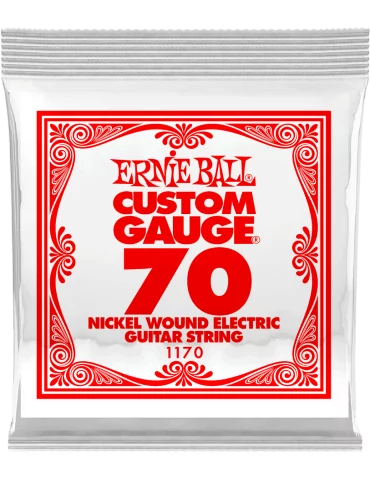 ERNIE BALL 1170 | MusicGoodDeal