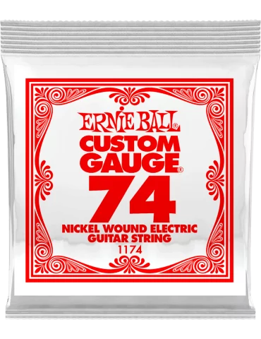 ERNIE BALL 1174 | MusicGoodDeal