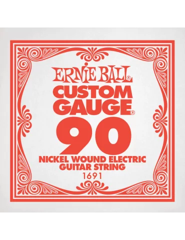 ERNIE BALL 1691 | MusicGoodDeal
