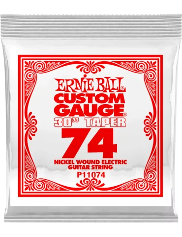 ERNIE BALL 11074 | MusicGoodDeal
