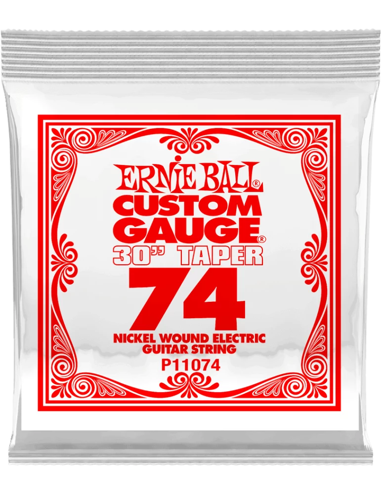 ERNIE BALL 11074 | MusicGoodDeal
