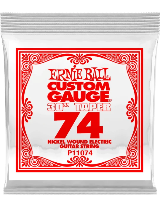 ERNIE BALL 11074 | MusicGoodDeal