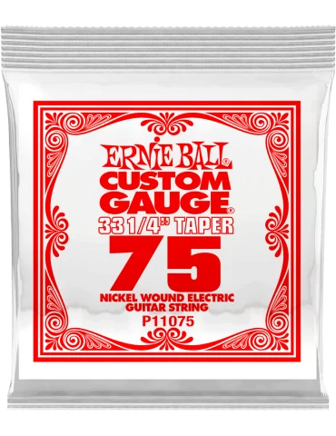 ERNIE BALL 11075 | MusicGoodDeal
