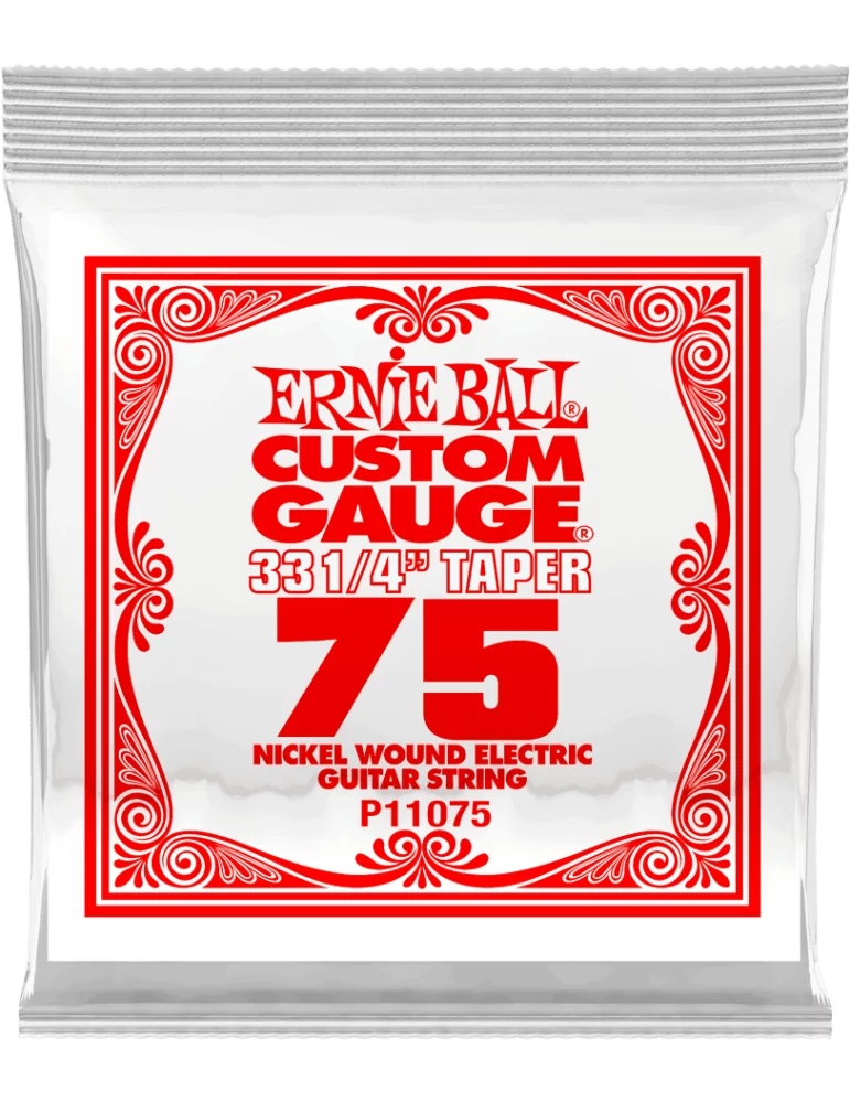 ERNIE BALL 11075 | MusicGoodDeal