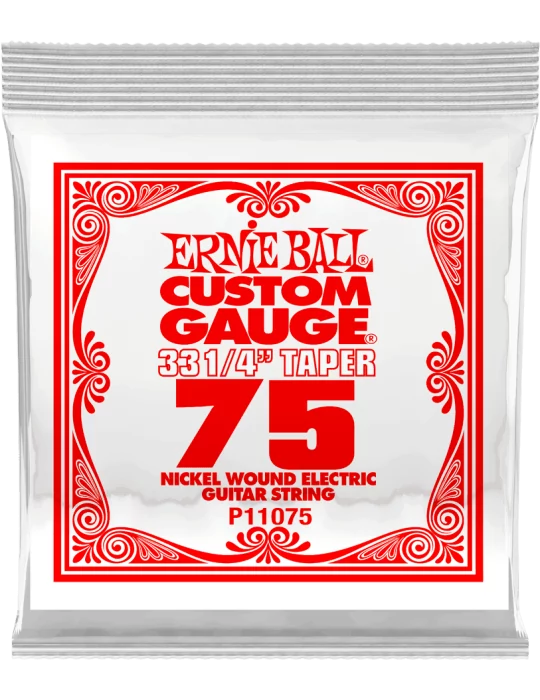 ERNIE BALL 11075 | MusicGoodDeal