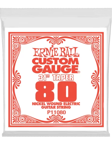 ERNIE BALL 11080 | MusicGoodDeal