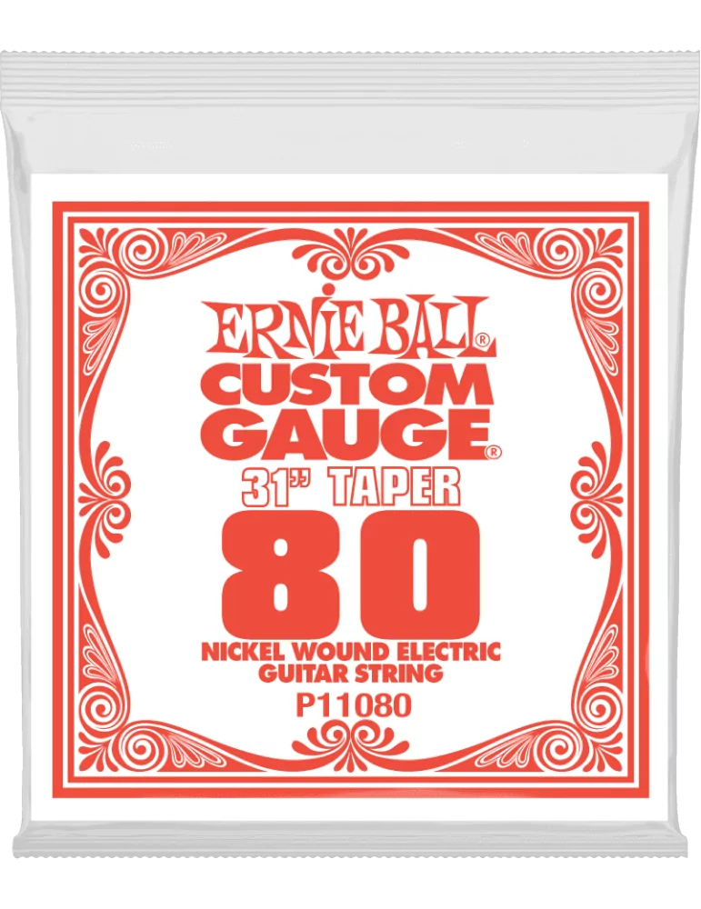 ERNIE BALL 11080 | MusicGoodDeal