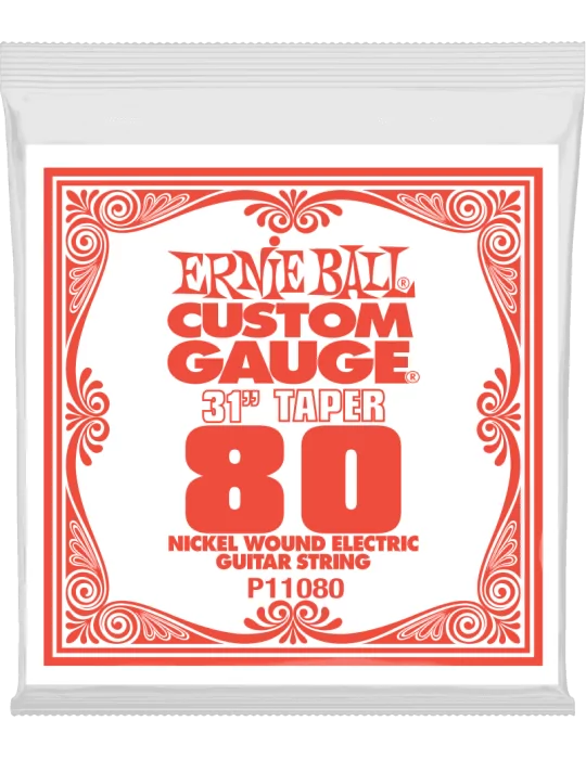 ERNIE BALL 11080 | MusicGoodDeal