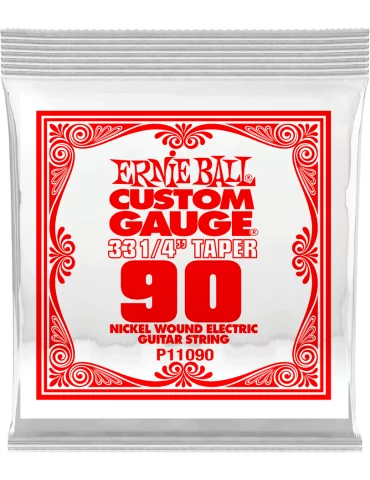 ERNIE BALL 11090 | MusicGoodDeal