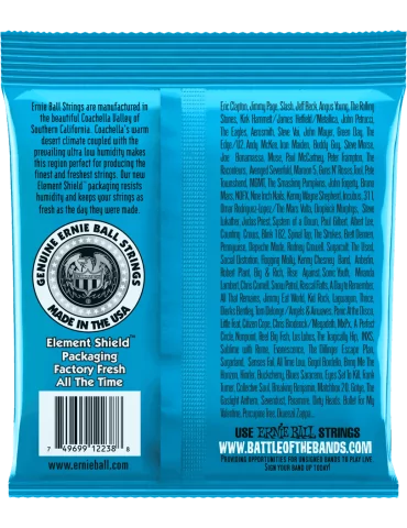 ERNIE BALL 2238 | MusicGoodDeal 2