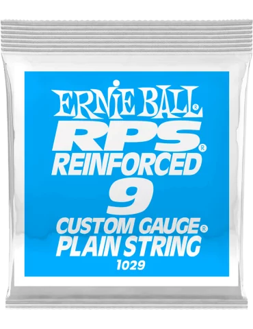 ERNIE BALL 1029 | MusicGoodDeal
