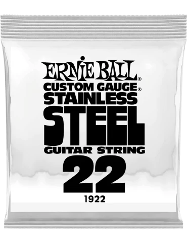 ERNIE BALL 1922 | MusicGoodDeal