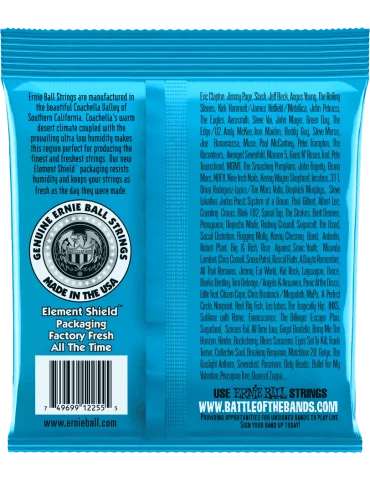 ERNIE BALL 2255 | MusicGoodDeal 2