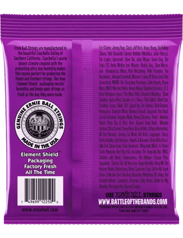 ERNIE BALL 2250 | MusicGoodDeal 2