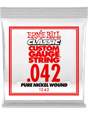 ERNIE BALL 1242 | MusicGoodDeal