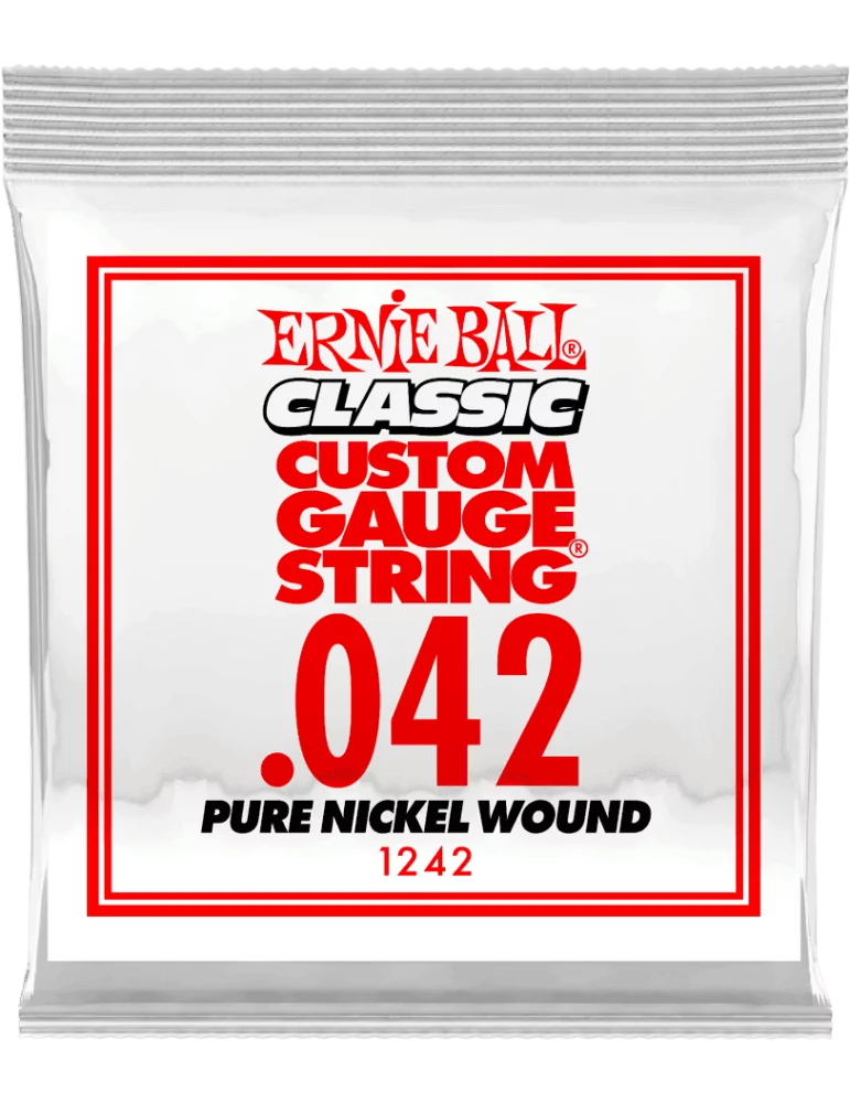 ERNIE BALL 1242 | MusicGoodDeal
