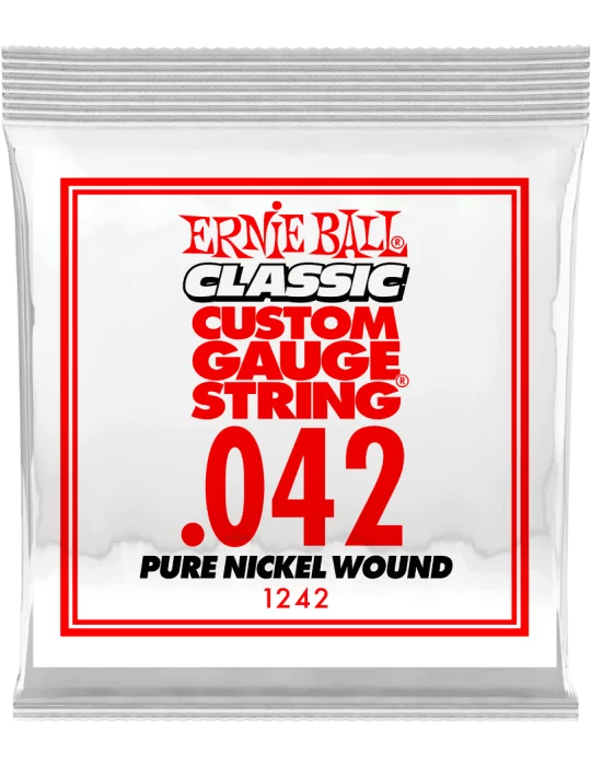 ERNIE BALL 1242 | MusicGoodDeal