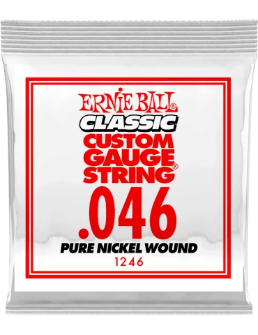 ERNIE BALL 1246 | MusicGoodDeal