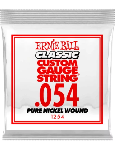 ERNIE BALL 1254 | MusicGoodDeal