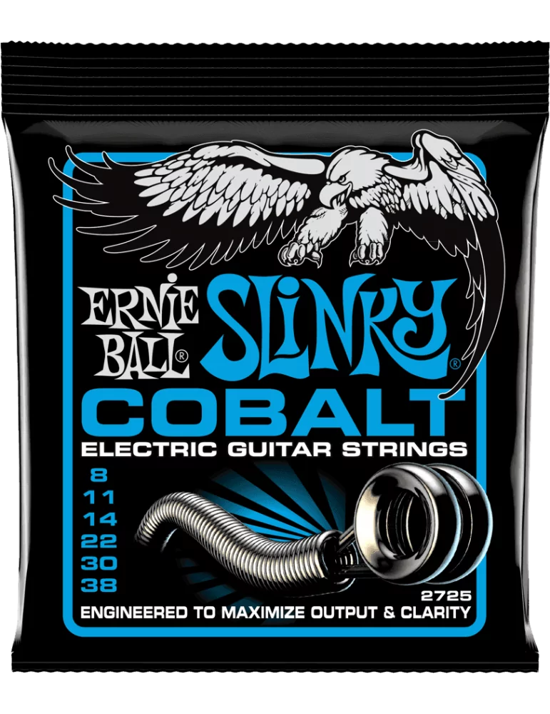 ERNIE BALL 2725 | MusicGoodDeal