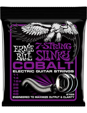 ERNIE BALL 2729 | MusicGoodDeal