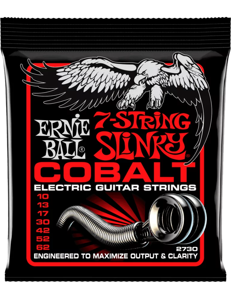 ERNIE BALL 2730 | MusicGoodDeal