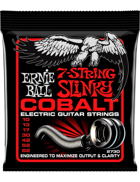 ERNIE BALL 2730 | MusicGoodDeal