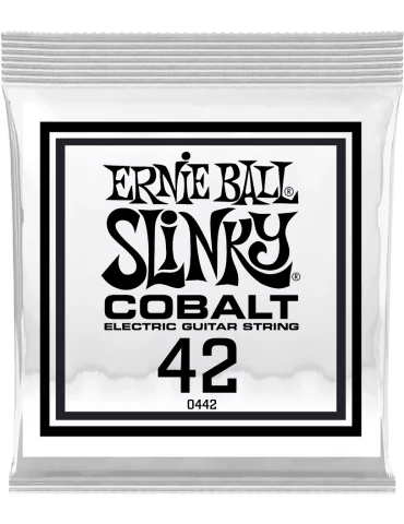 ERNIE BALL 10442 | MusicGoodDeal