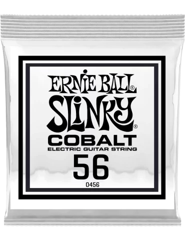 ERNIE BALL 10456 | MusicGoodDeal