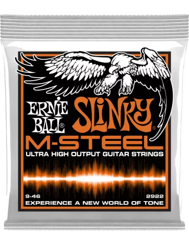 ERNIE BALL 2922 | MusicGoodDeal