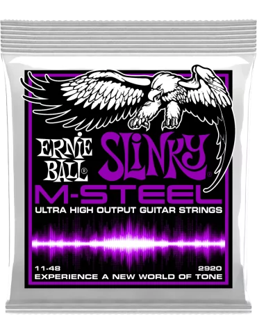 ERNIE BALL 2920 | MusicGoodDeal